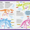 Dinosaur Sticker Facts