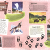 Explore! America's National Parks