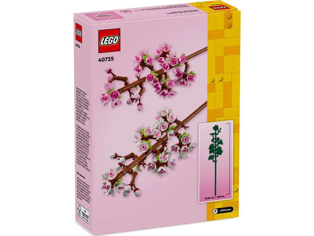 Cherry Blossoms