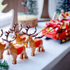 Santa's Sleigh