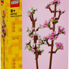 Cherry Blossoms