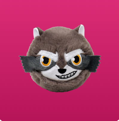 Beanie Bouncers TY