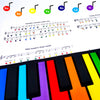 Rainbow Piano - 49 Color Coded Keys + Play-By-Color Songbook