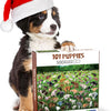 500 Piece - 101 Pooping Puppies Jigsaw Puzzle